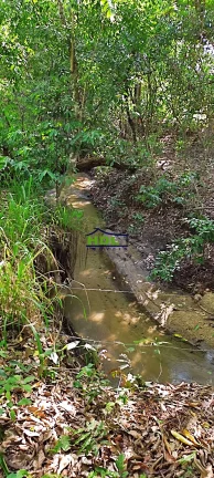 Imagem Chácara 6,12 Alqs rica dágua Piracanjuba/GO