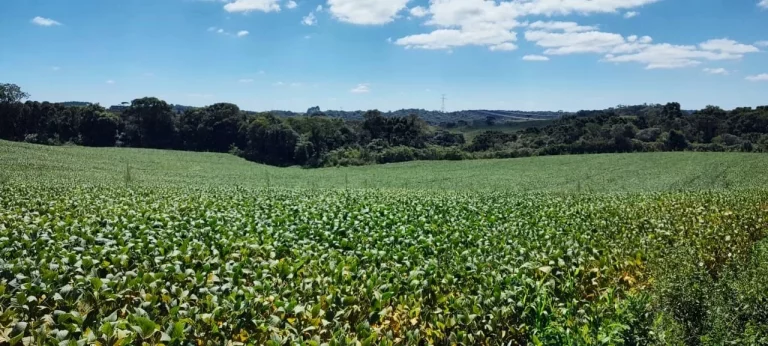 Imagem TERRENO RURAL em CAMPO BELO DO SUL - SC, Área Rural