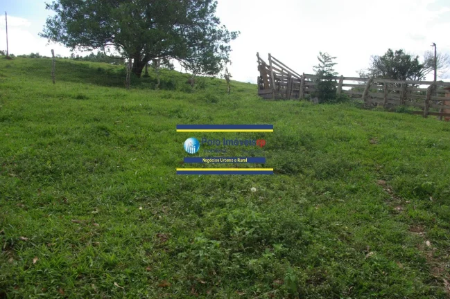 Imagem Sítio 14 alqueires com estrutura, casa, água e energia, R$ 90.000,00 valor do alqueire - Jacuí - Minas Gerais