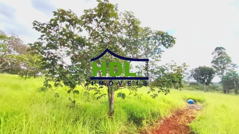 Imagem Chácara com 4 Hectares em Hidrolândia - GO