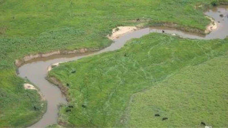 Imagem Fazenda em Mato Grosso - 103.000hec