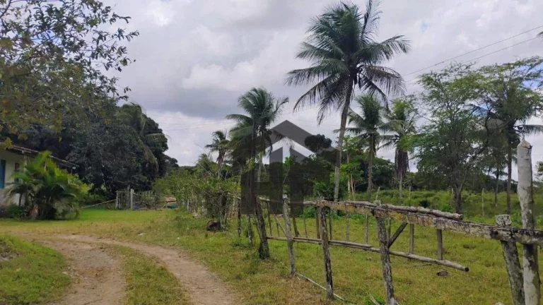 Imagem Terreno à Venda, 5.000 m² em Centro - Paudalho