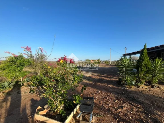Imagem Fazenda/Sítios/Chácaras no bairro zona rural, em Coronel João Sá
