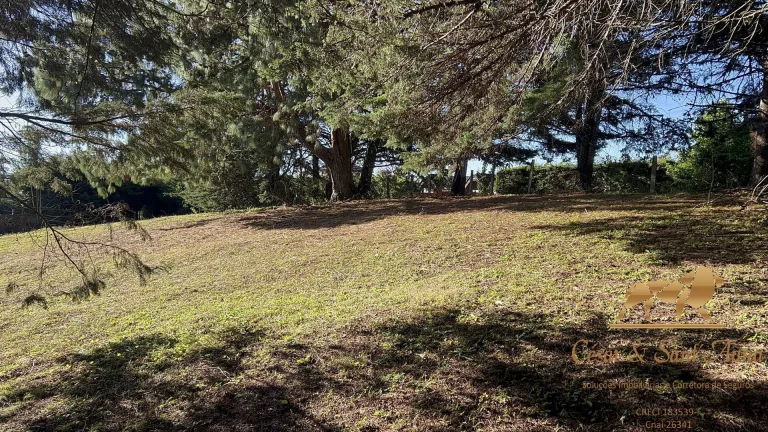 Imagem LINDO LOTE A VENDA NO ALTO DO VILA INGLESA EM CAMPOS DO JORDÃO-SP