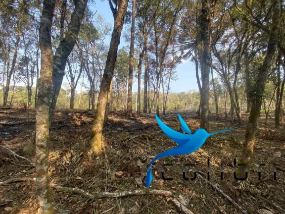 Imagem Terreno à Venda, 2.141 m² em Leão - Agudos Do Sul