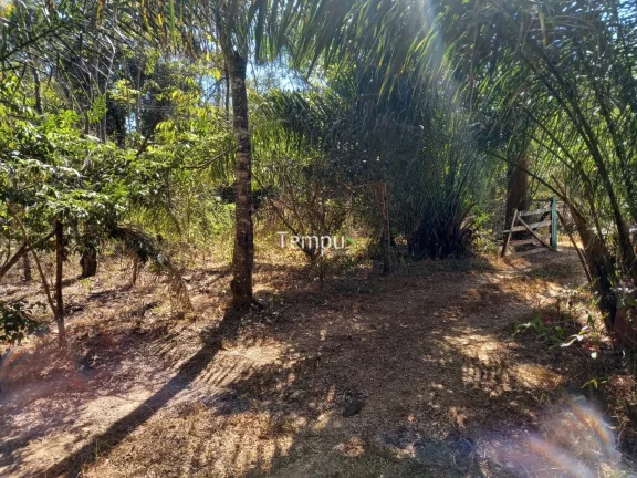 Imagem Pesqueiro do Rio Urú - Rancho Rancho em Centro, Heitoraí/GO