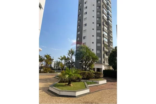 Imagem Excepcional apartamento de 3 dormitórios (1 suíte) na tranquila e arborizada Vila Indiana