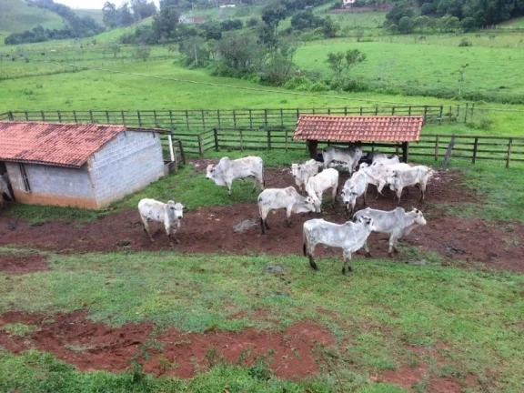 Imagem FAZENDA RURAL À VENDA, ROSETA, CAMBUÍ.
