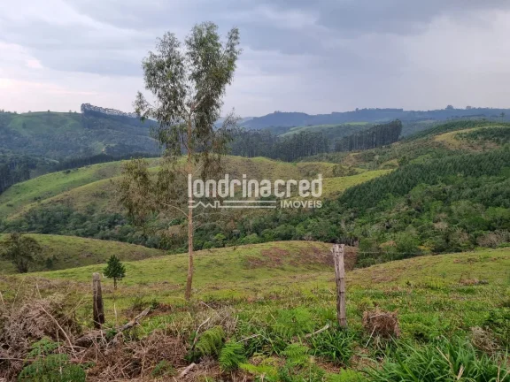 Imagem Chácara à venda 744000M², Zona Rural, Castro - PR