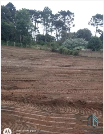 Foto do imóvel: Terreno 7.200 m², ótimo potencial Construtivo, 12 pavimentos, em Araucária - PR