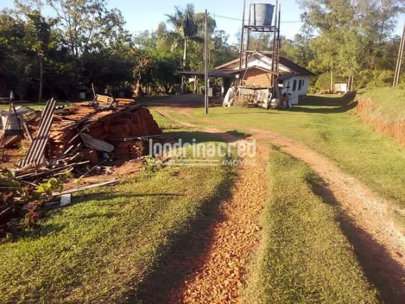 Imagem Chácara à venda Zona Rural, Maringá - PR