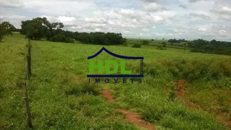 Imagem FAZENDA 38,5 ALQS TRIPLA APTIDÃO MUITA ÁGUA EM PIRACANJUBA - GO.
