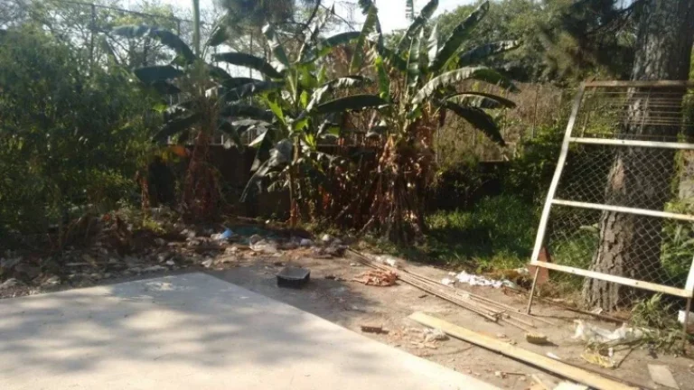 Imagem Alugo Terreno com galpão em São Bernardo, Rudge Ramos