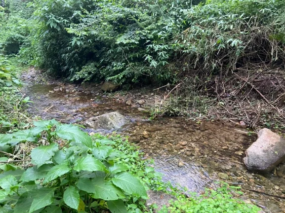Imagem Studio para Venda em Ubatuba / SP no bairro Figueira (Pé da Serra)