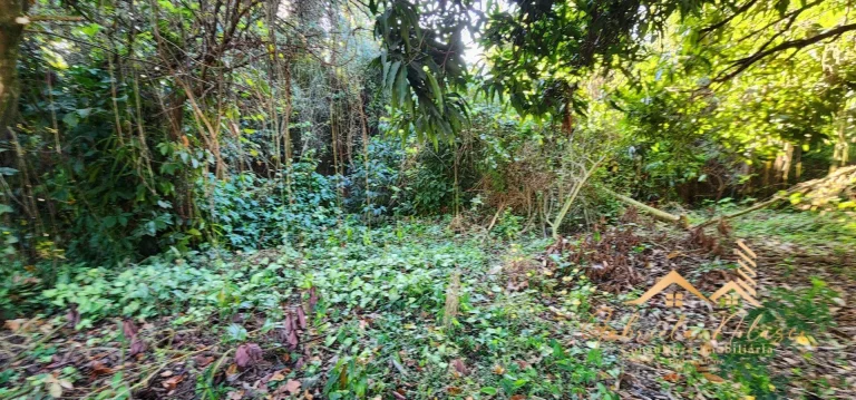 Imagem Chacara limpa em avenida Mogi Mirim