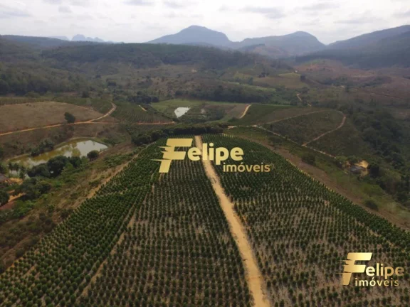 Imagem FAZENDA EM COLATINA (28KM DO CENTRO) / UM IMPERDÍVEL NEGÓCIO!