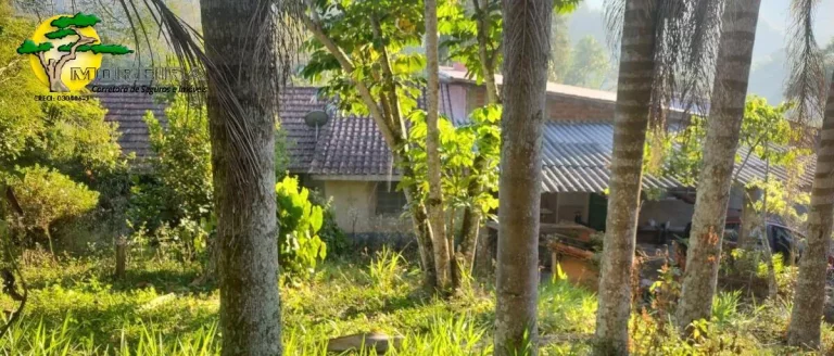 Imagem CHACARA EM IBIÚNA A VENDA