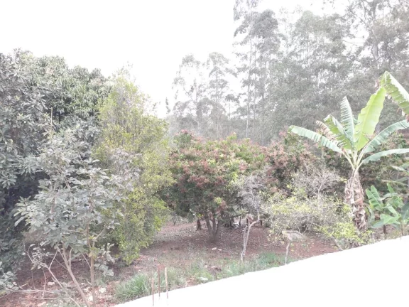Imagem CHÁCARA A VENDA COM DUAS CASAS E TERRENO 5.000 M2 NO BIRRO BOA VISTA DO SILVA - BRAGANÇA PAULISTA