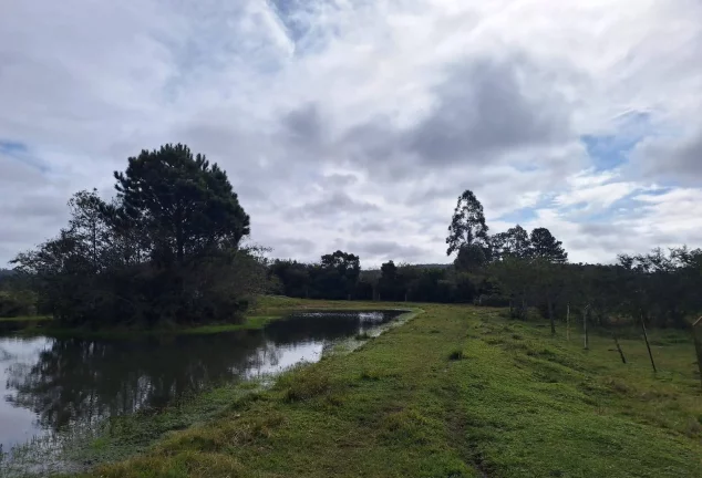 Imagem Sítio à venda, com 1 hectare, açude, no Passo da Areia - Viamão/RS