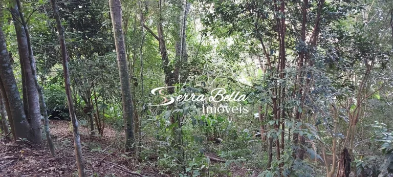 Imagem Terreno em Golfe, Teresópolis/RJ