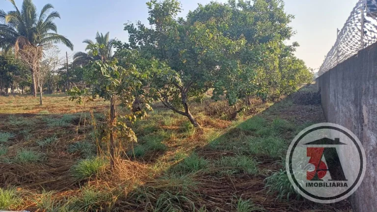 Imagem 5000M2 Próximo a FARO