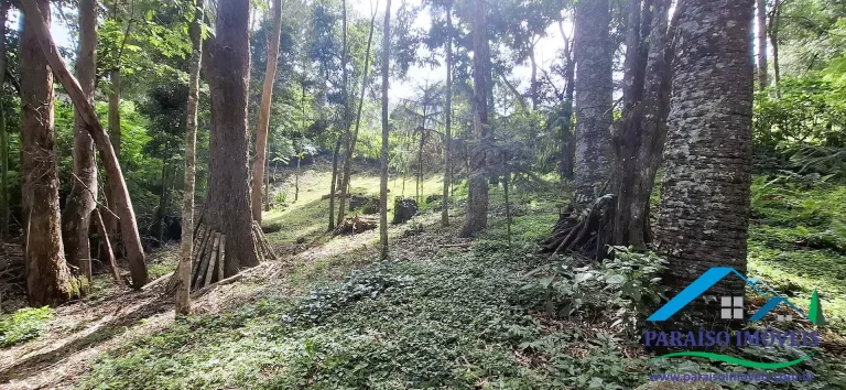 Imagem Mergulhe na Serenidade da Serra da Mantiqueira: Terreno com Cachoeira