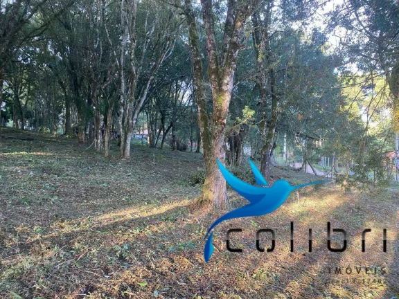 Imagem Chácara à Venda, 3.200 m² em Ribeirãozinho - Agudos Do Sul