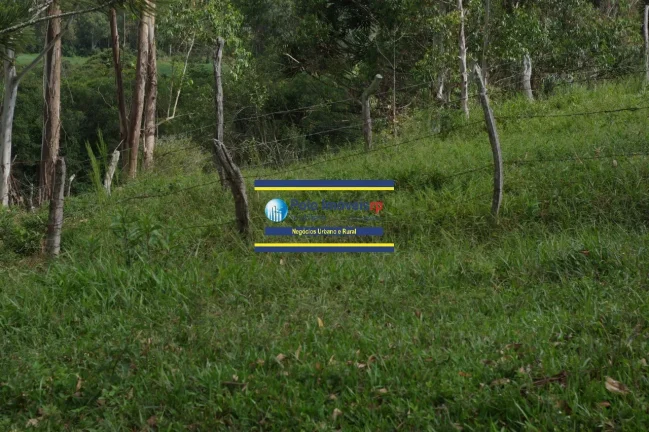 Imagem Sítio 14 alqueires com estrutura, casa, água e energia, R$ 90.000,00 valor do alqueire - Jacuí - Minas Gerais