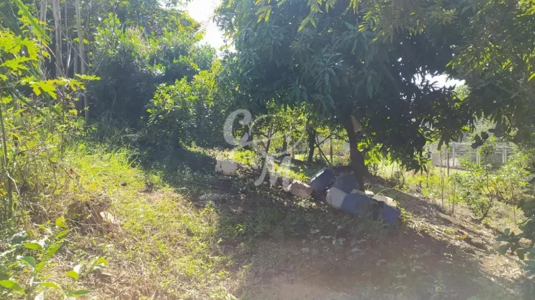 Imagem Terreno COM MAIS DE 3 MIL METROS Cafezal III