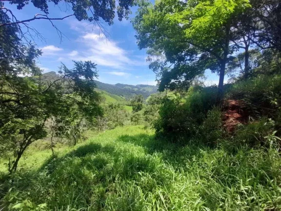 Imagem Fazenda à venda em Barbacena, Correia de Almeida, com 4 quartos, 53ha
