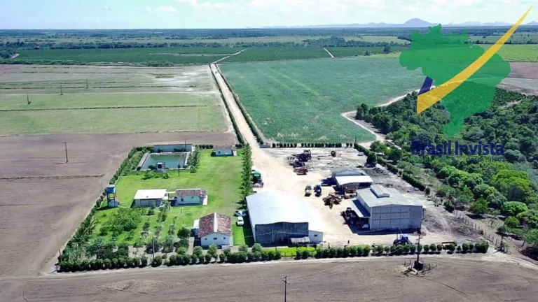 FAZENDA COM EXCELENTE PRODUÇÃO PRÓXIMA A PORTO SEGURO