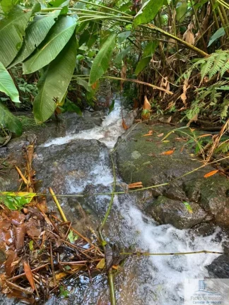 Imagem Rural - Chácara, para Venda em Rio dos Cedros/SC