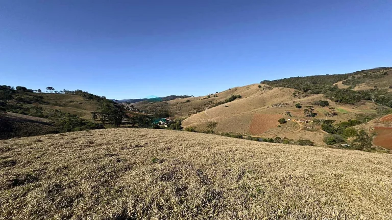 Imagem Domínio de Vista e Eficiência em Santo Antônio do Pinhal: 72.000 m² com Vista para a Pedra do Baú