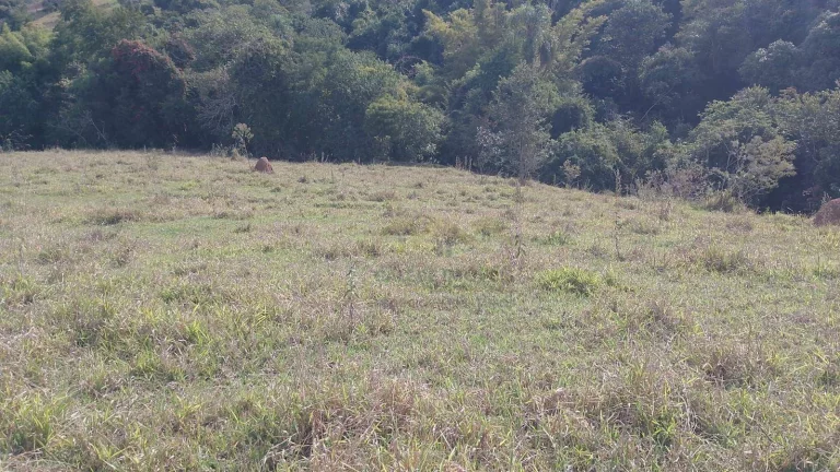 Imagem Sítio 3 Alqueires em Tatuí Bairro Congonhal de Cima por R$ 630.000,00 com escritura