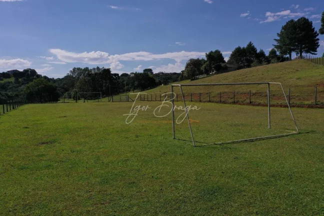Imagem Chácara em Campo Largo com lago a venda
