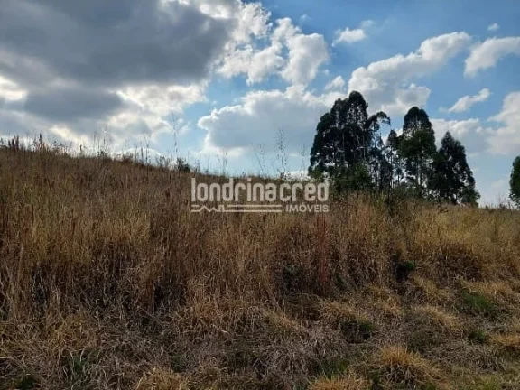 Imagem Terreno à venda Centro, Ponta Grossa - PR