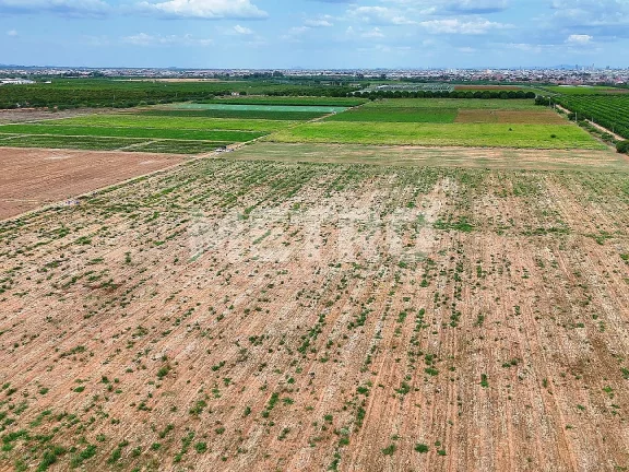 Imagem Fazenda com 116ha, Casa, Galpão, 25ha plantados e mais 32 prontos para plantar