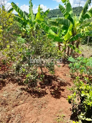 Imagem Chácara à venda 525M², Zona Rural, Ibiporã - PR