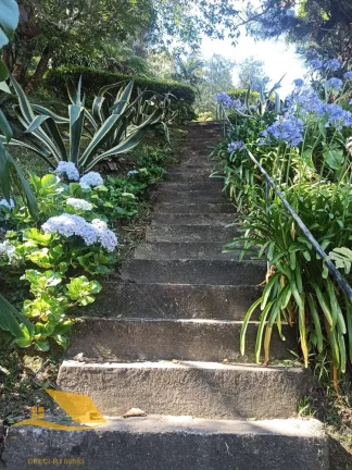 Imagem Vendo Chácara em Theodoro com 3 quartos, 1 suíte e 5 mil mts² de terreno.