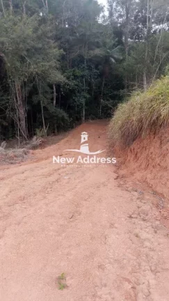 Imagem Terreno com 11.500 m², Platô Pronto, Lago e Nascente à Venda em Domingos Martins