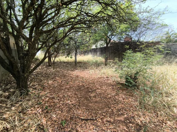 Imagem Excelente Lote No Jardim Bela Vista Em Goiania