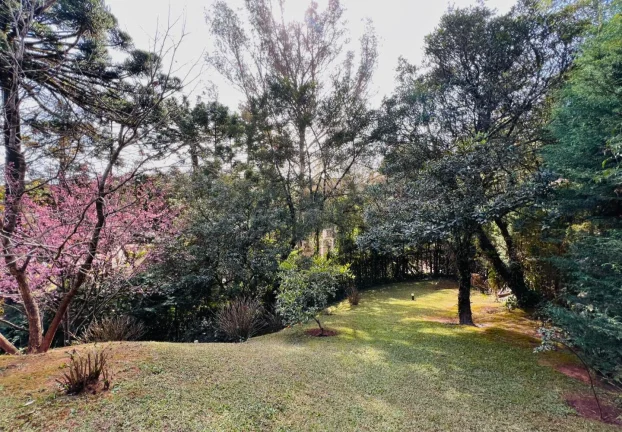 Imagem Descansópolis: A Leveza de uma Casa Térrea e Sustentável