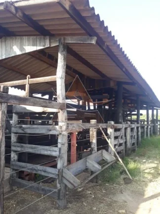 Imagem Fazenda - Cajuru - Zona Rural