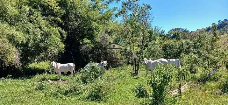 Imagem Fazenda à venda no bairro Carneiros - Cunha/SP