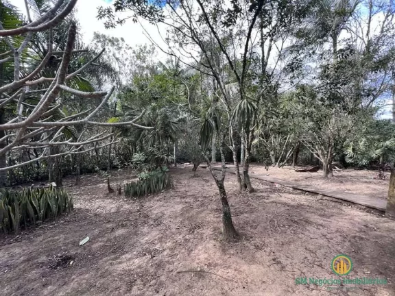 Imagem Área para Incorporação - 18.455m² Km 36 Rap. Tavares