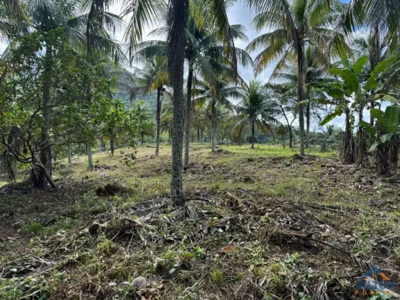 Imagem Terreno com 1100m2 à Venda Próximo a Figueira Café em Jaboti - Guarapari/ES