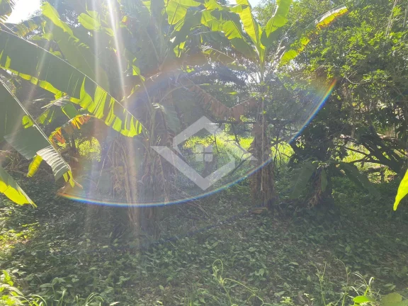 Imagem TERRENO PLANO À VENDA EM ITAIPU – 560 m² | R$ 1.180.000,