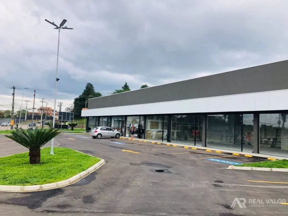 Imagem Comercial, Eucaliptos - Fazenda Rio Grande