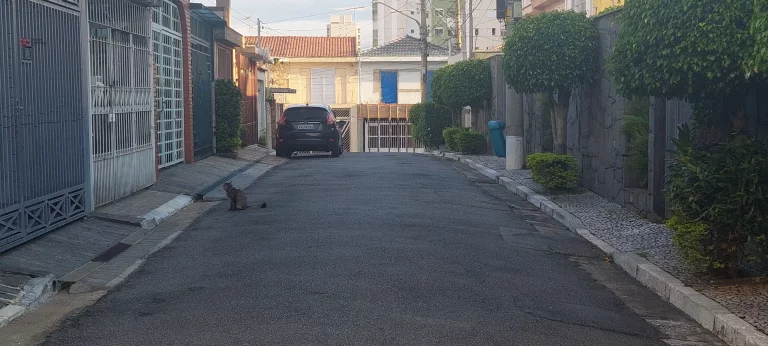 Imagem Sobrado à venda, ótima localização, próximo a futura estação do Metrô Orfanato, Shoppings, Parques e fácil acesso as Grandes avenidas e rodovias