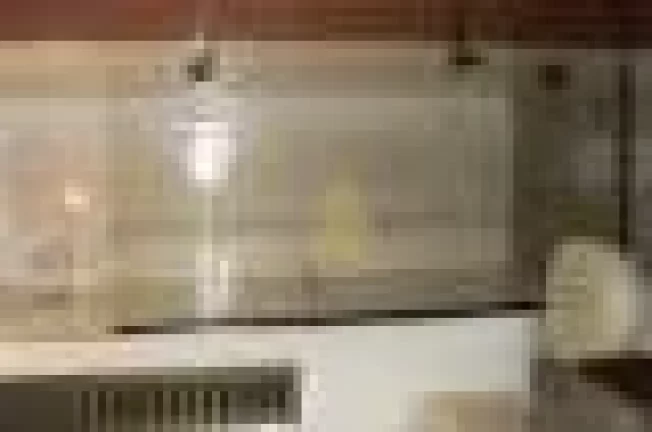 Imagem Apartamento 2 dormitórios Suíte à venda, 86 m² por R$ 320.000 - Santa Cruz do José Jacques - Ribeirão Preto/SP